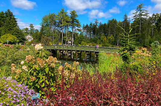Botanical Gardens in Boothbay, Maine