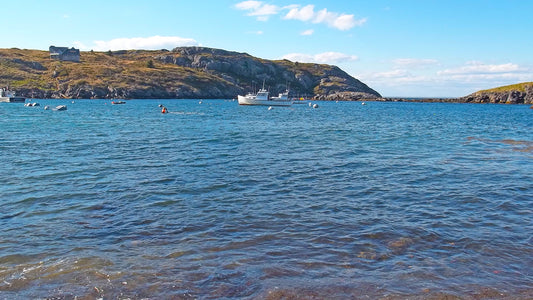 October Cruise to Monhegan Island, Maine