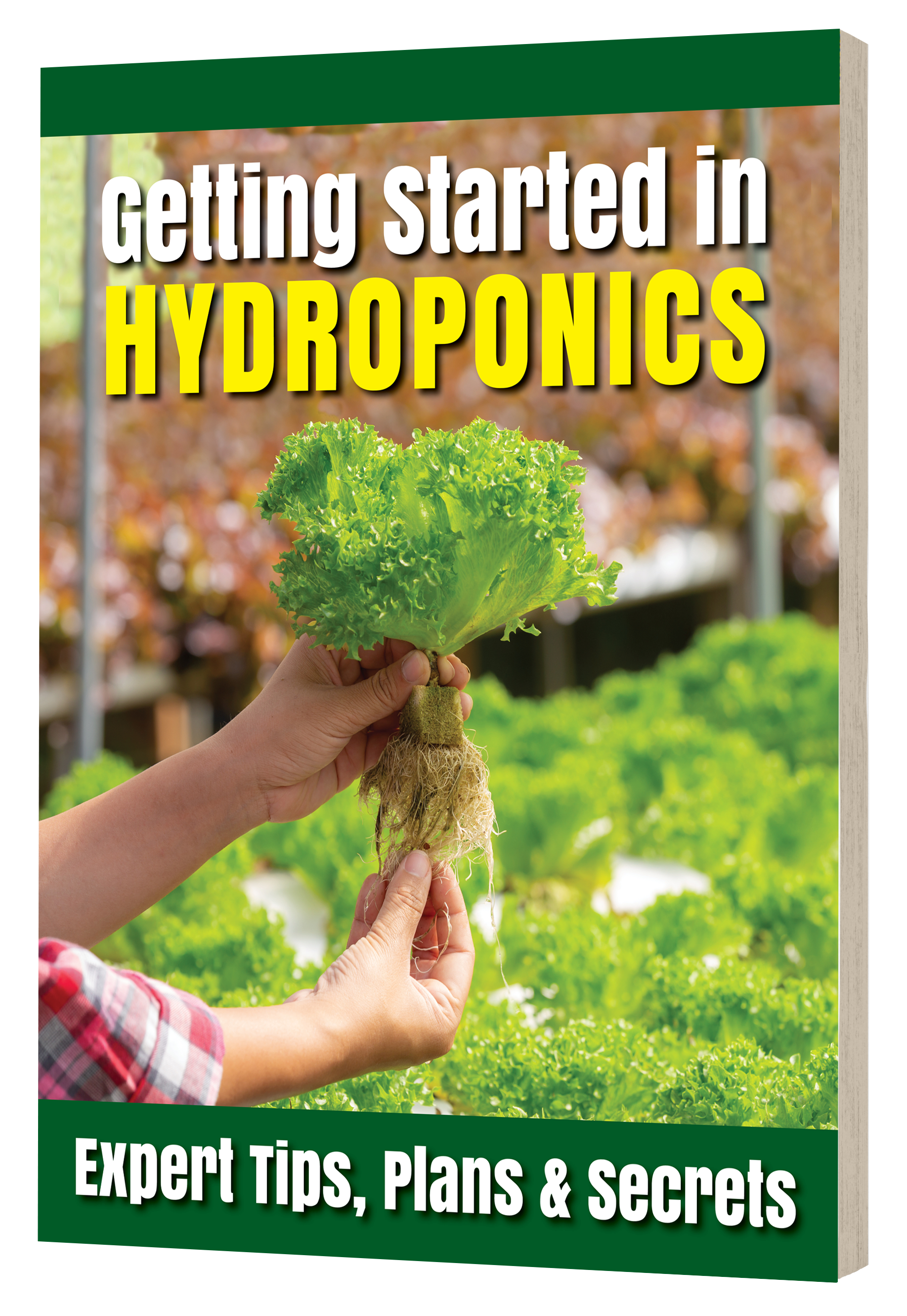 Getting Started in Hydroponics ebook