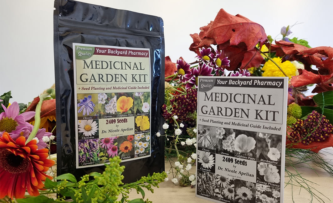 Medicinal herb seeds for the garden