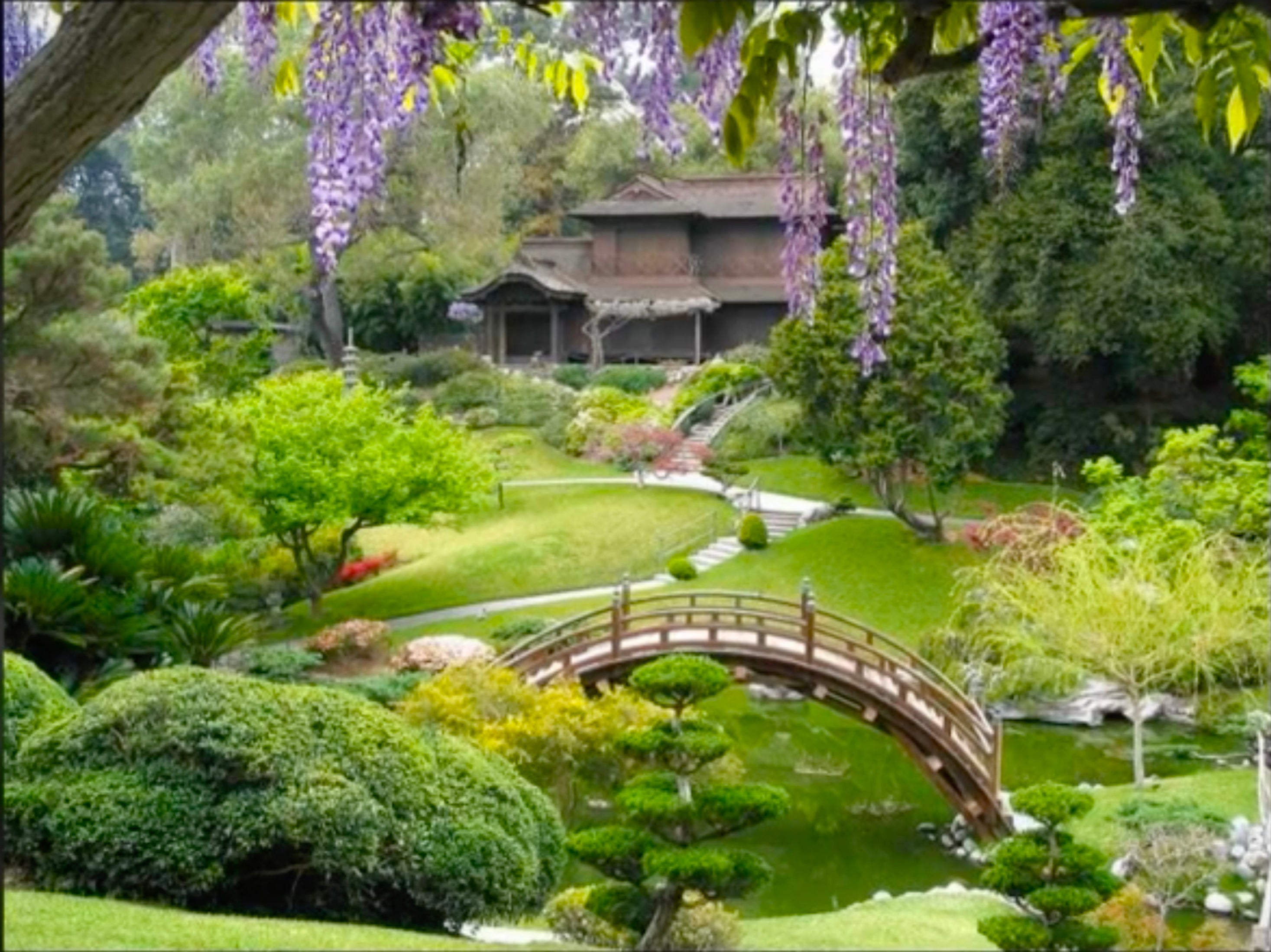 Load video: Ideas4Landscaping Package of ideas for garden landscaping projects